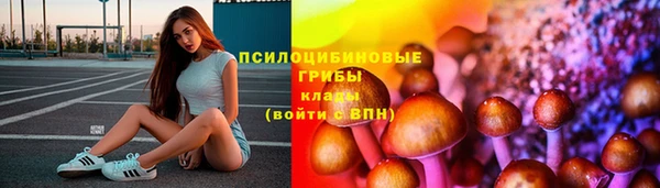 гашик Лагань
