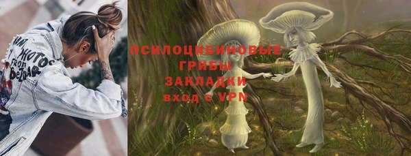герыч Ладушкин